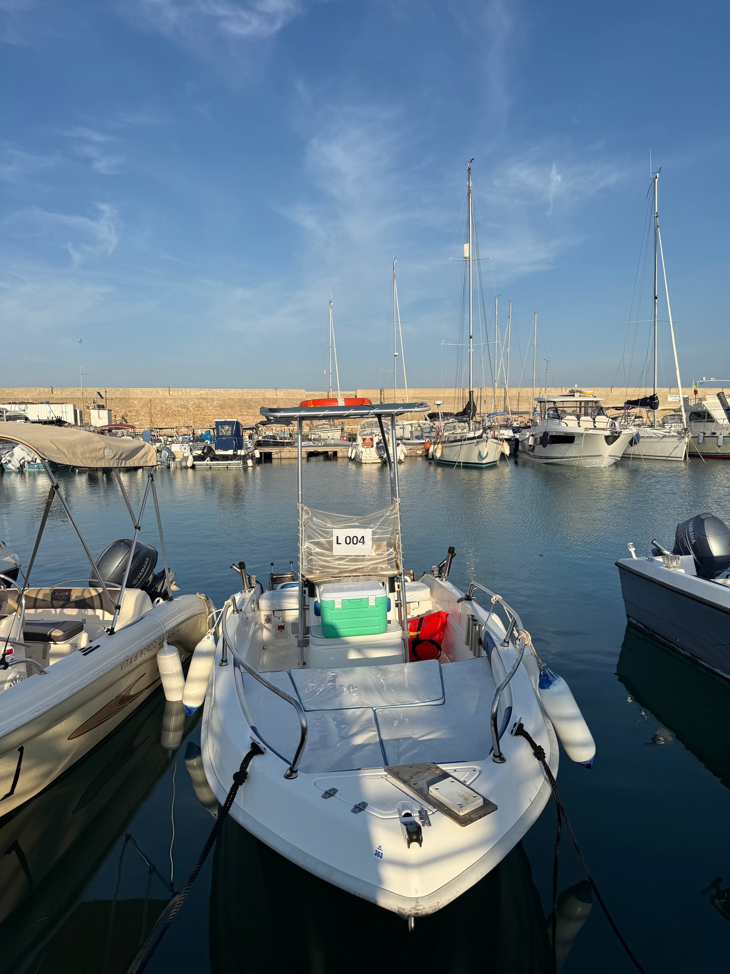 Marino Anaise 500